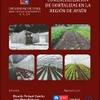 Producción y comercialización de Hortalizas en la Región de Aysén