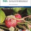 Rescate y valorización de la frutilla blanca en el territorio de Nahuelbuta