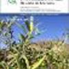 Estrategia de riego para mitigar el estrés hídrico en olivos cultivados en Taltal, Desierto de Atacama