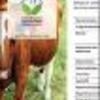 Ficha Iniciativa FIA : Valorización de la raza clavel de la junta como biotipo de carne para potenciar la producción de carne bovina