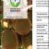 Ficha Iniciativa FIA : Desarrollo de un sistema de calificación del kiwi en función de las variables climatológicas y del nivel tecnológico de los pequeños y medianos productores que inciden en la calidad de la fruta