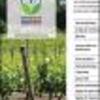 Ficha Iniciativa FIA : Estrategias agronómicas de gestión del riego que permitan aumentar la productividad del agua y la sustentabilidad de sistemas frutícolas ante el proceso de aridización