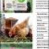 Ficha Iniciativa FIA : Desarrollo y validación de ovoproductos nutracéuticos a partir de huevos free range producidos bajo el sistema de comercio justo asociativo con pequeños productores para el mercado nacional e internacional
