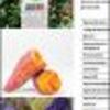 Ficha Iniciativa FIA : Obtención de pigmentos de papas coloreadas para su uso como colorante de alimentos procesados