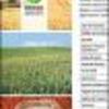Ficha Iniciativa FIA : Molino Cosecha Justa: Elaboración y comercialización de harinas libres de gluten, producidas con granos de pequeños agricultores nacionales
