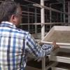 PYT-2011-0050 - Desarrollo de paneles a partir de colchones radiculares obtenidos del cultivo hidropónico de gramíneas de grano limpio