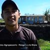 Segunda etapa de proyecto de recuperación etnobotánica en Rapa Nui