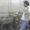 Productores de queso de cabra y oveja de los oasis del desierto de Atacama