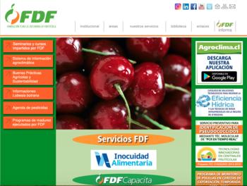 FDF - Fundación para el Desarrollo Frutícola