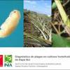 Diagnóstico de plagas en cultivos hortofrutícolas de Rapa Nui