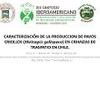 Caracterización de la producción de pavos criollos (Meleagris gallopavo) en crianzas de traspatio en Chile