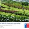 Manejos Agroecológicos en hortalizas