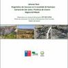 Diagnóstico de Cárcavas en la Localidad de Rastrojos Comuna de San Javier, Provincia de Linares Región del Maule