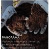 Panorama: Vigilancia tecnológica-comercial, en fertilizantes sintéticos y biológicos para la agricultura