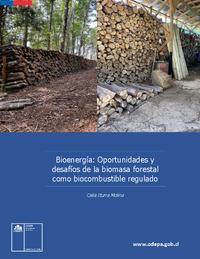 Bioenergía: Oportunidades y desafíos de la biomasa forestal como biocombustible regulado