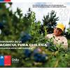 Panorama de la agricultura chilena / Chilean agriculture - 2019