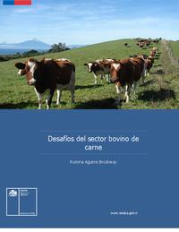 Desafíos del sector bovino de carne