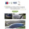 Estudio de vigilancia tecnológica con enfoque en tecnologías de biodigestión anaeróbica y en equipos de consumo de biogás para el sector agropecuario nacional
