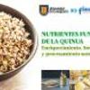Nutrientes funcionales de la Quinua : Enriquecimiento, fortificación y procesamiento natural