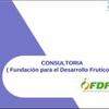 Consultoría (Fundación para el Desarrollo Frutícola)