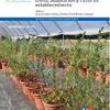 Producción intensiva de berries en macetas en Maule : clima, adaptación y costo de establecimiento