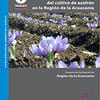 Resultados y lecciones en Introducción del cultivo de azafrán en la Región de la Araucanía Proyecto de innovación en Región de la Araucanía