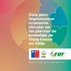 Guía para implementar economía circular en las plantas de embalaje de fruta fresca en Chile