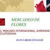 Mercadeo de flores: El mercado Internacional, experiencia Ecuatoriana
