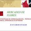 Mercadeo de flores : Estrategias de comercialización, promoción y marca, experiencia Ecuatoriana