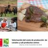 Valorización del costo de producción de canales y sub productos ovinos