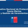 Normativa Nacional de Protección de Fauna Marina y Gestión de Varamientos