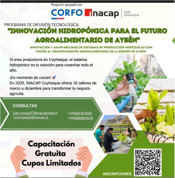 Programa de Difusión Tecnológica "Innovación hidropónica para el futuro agroalimentario de Aysén"