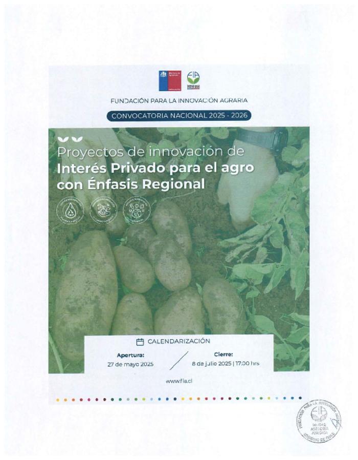 Bases de postulación