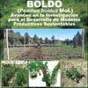 Boldo (Peumus boldus Mol.) : Avances en la Investigación para el Desarrollo de Modelos Productivos Sustentables