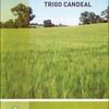Criterios técnicos para el manejo del trigo candeal