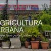 Agricultura urbana : perspectivas desde Londres