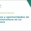 Desafíos y oportunidades de la vitivinicultura en La Araucanía