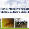 Metano entérico y eficiencia energética: realidad y posibilidades