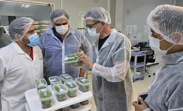Dr. Laurent Jouve, científico y actor fundamental de la operación en Francia, trabajando con el equipo de laboratorio (In Vitro Lab) e I+D (CIDI) de Grupo Hijuelas.