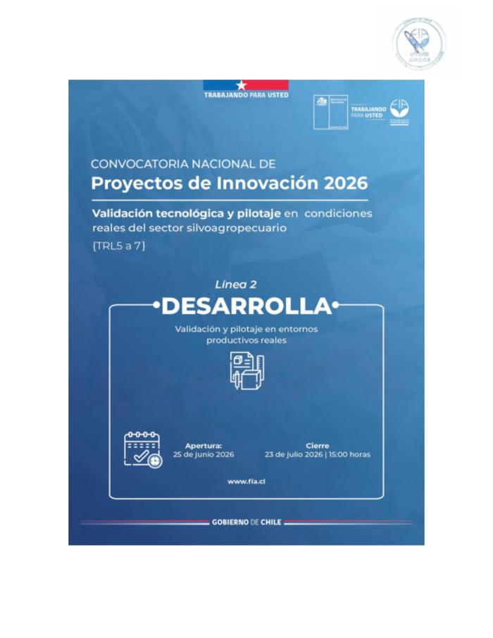 Bases de postulación
