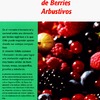 Cultivo Orgánico de Berries Arbustivos