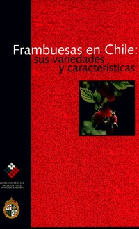 Frambuesas en Chile: sus variedades y caractrísticas