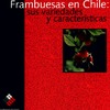 Frambuesas en Chile: sus variedades y caractrísticas