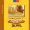 Resultados y Lecciones en Implementación de Planta Procesadora de Miel para Pequeños Apicultores
