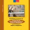 Resultados y Lecciones en Introducción de Ovinos Dohne Merino en la Estepa de Magallanes