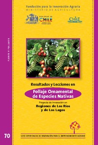Resultados y Lecciones en Producción de Follaje Ornamental de Especies Nativas Proyecto de Innovación en Regiones de Los Ríos y de Los Lagos