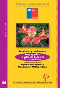 Resultados y lecciones en Propagación in vitro en Especies Ornamentales Proyecto de Innovación en Regiones de Valparaíso, Magallanes y Metropolitana
