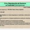 Estudio de la adaptación y manejo en semicautiverio de Lama guanicoe (Guanaco) en la XII Región