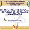 Control orgánico (natural) de plagas de los granos almacenados