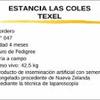 Estancia Las Coles Texel